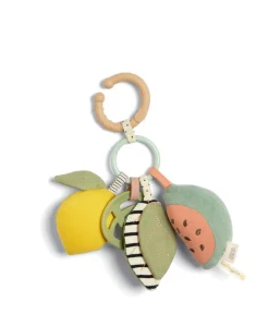 Activity Linkie Toy - Fruit