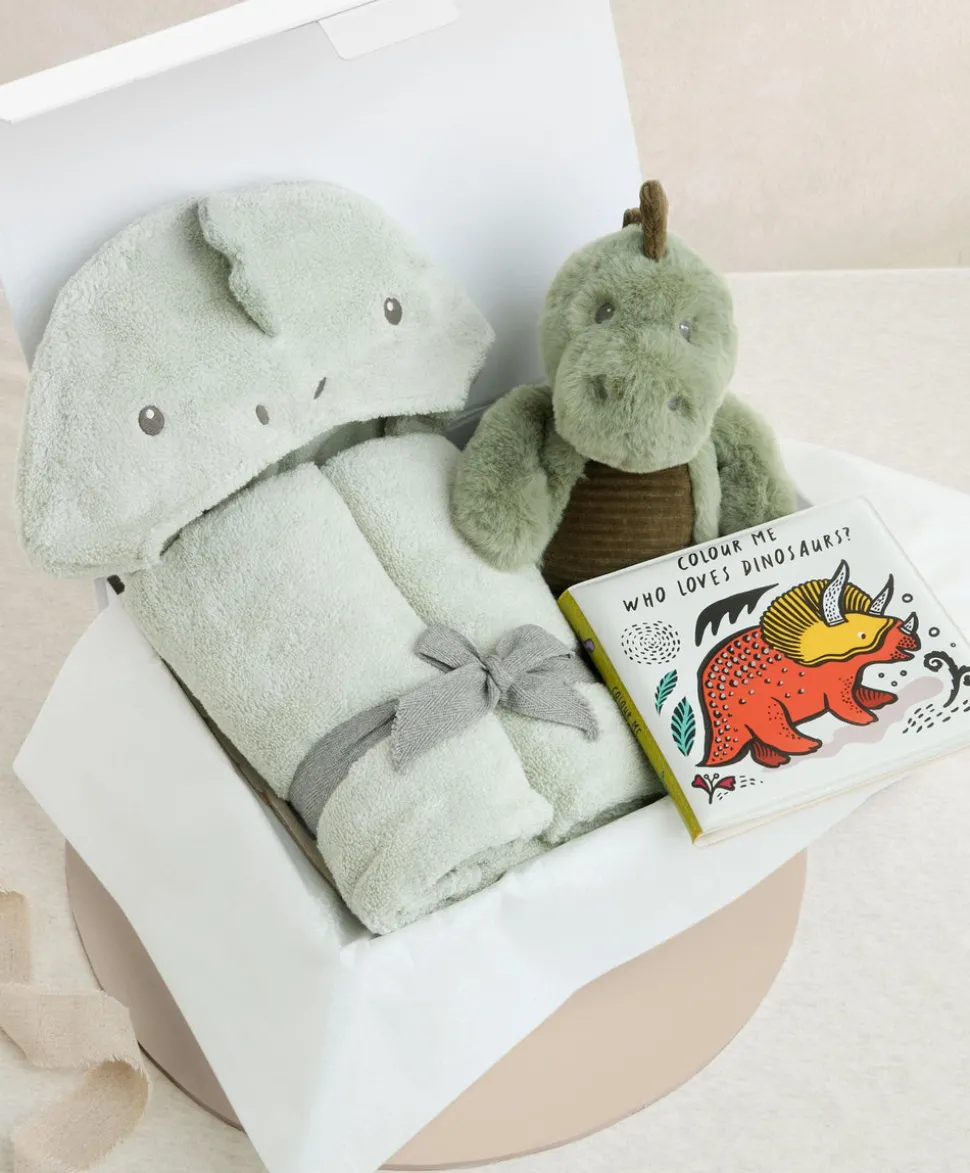 Bathtime Dinosaur - Medium Gift Box