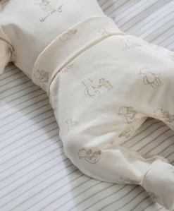 Bear Print Bodysuit & Bottoms Set (2 Pieces)