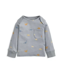Bedtime Dinosaur Gift Box