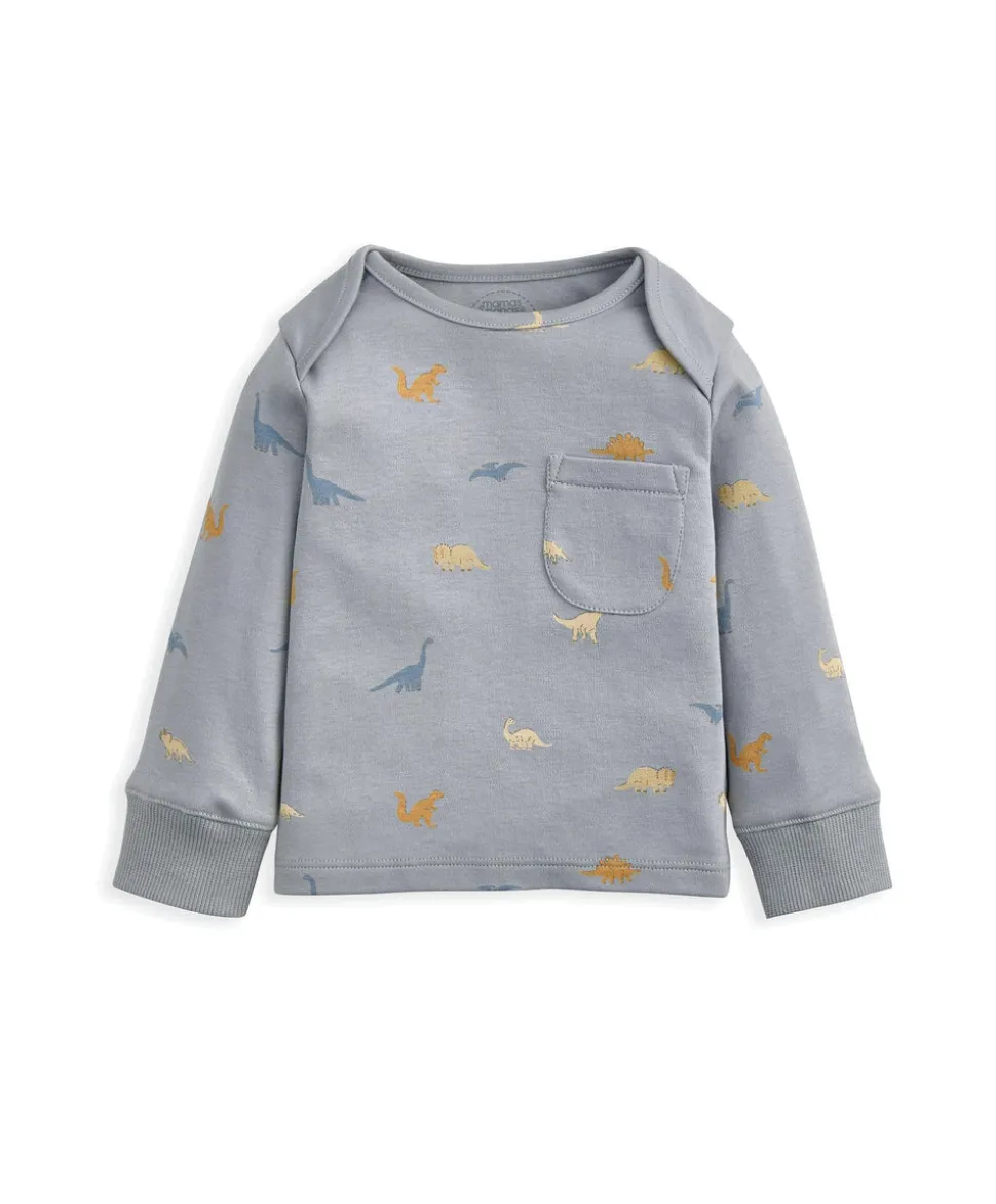 Bedtime Dinosaur Gift Box