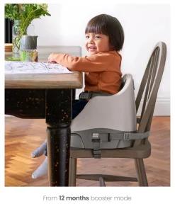 Bug 3-in-1 Floor & Booster Seat with Activity Tray - Pebble Grey
