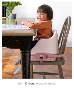 Bug 3-in-1 Floor & Booster Seat with Activity Tray - Blossom