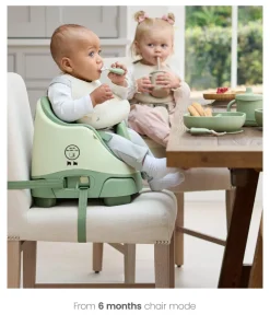 Bug 3-in-1 Floor & Booster Seat with Activity Tray - Eucalyptus