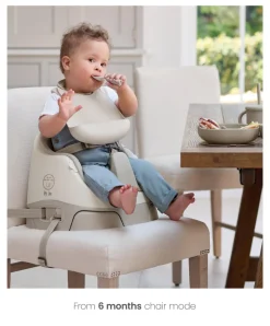 Bug 3-in-1 Floor & Booster Seat with Activity Tray - Clay