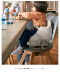 Bug 3-in-1 Floor & Booster Seat with Activity Tray - Clay