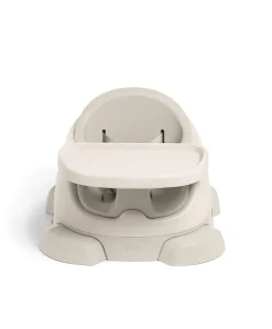 Bug 3-in-1 Floor & Booster Seat with Activity Tray - Clay