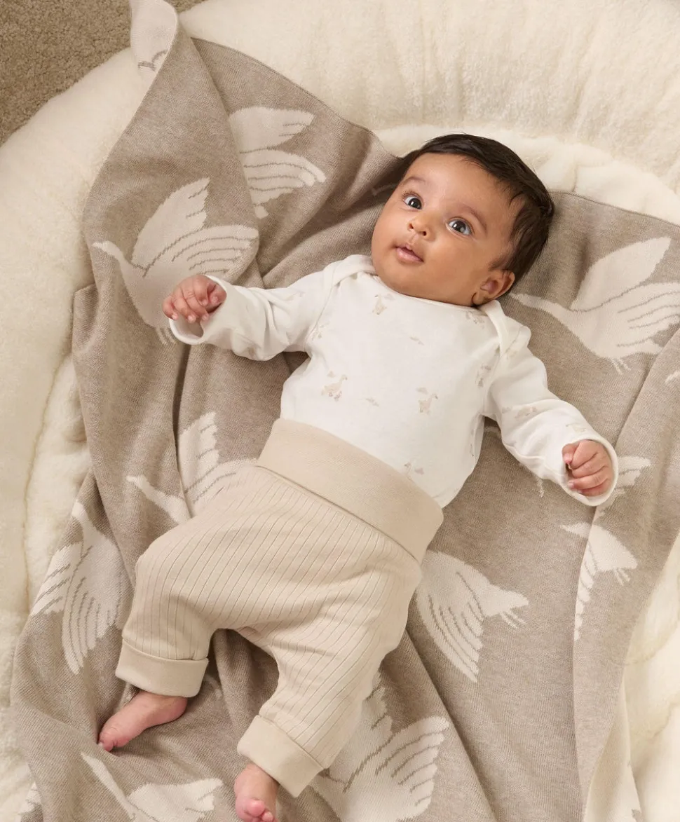 Duckling Jersey Jacket, Bodysuit & Leggings (Set of 3)