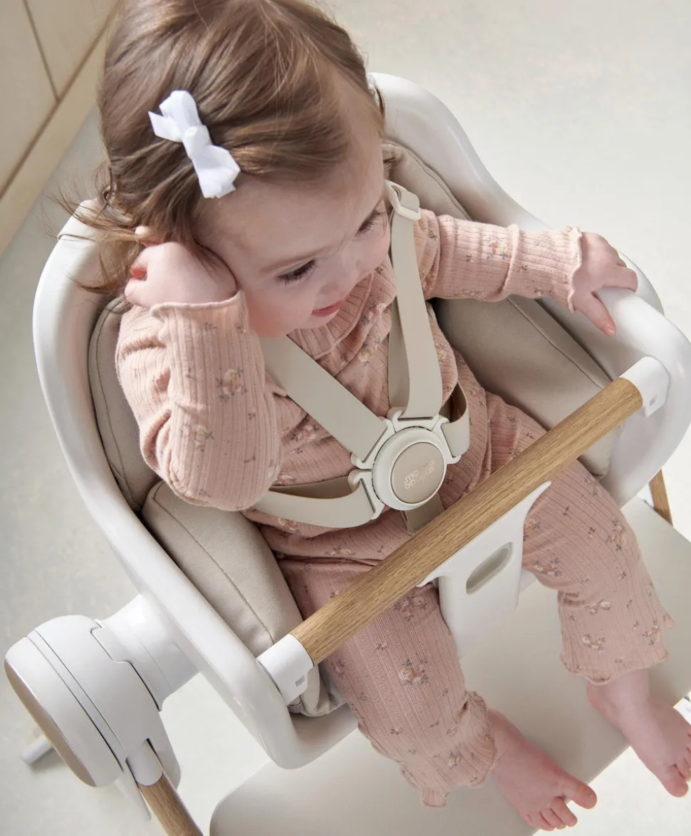 Eno Highchair, Bouncer & Cushion Complete Bundle - Cashmere