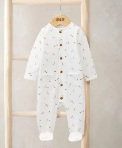Kite Print All In One