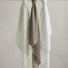 Large Muslin Squares (3 pack) - Welcome to the World Seedling