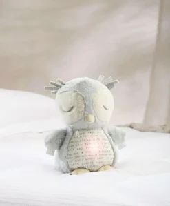 Light & Sounds Sensory Toy - Owlbie
