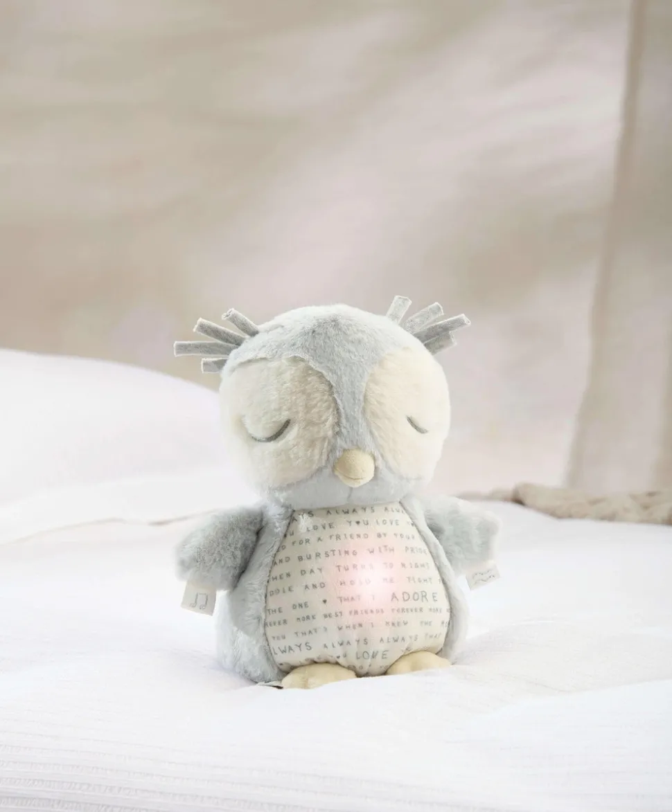 Light & Sounds Sensory Toy - Owlbie
