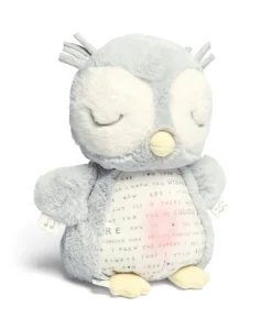 Light & Sounds Sensory Toy - Owlbie