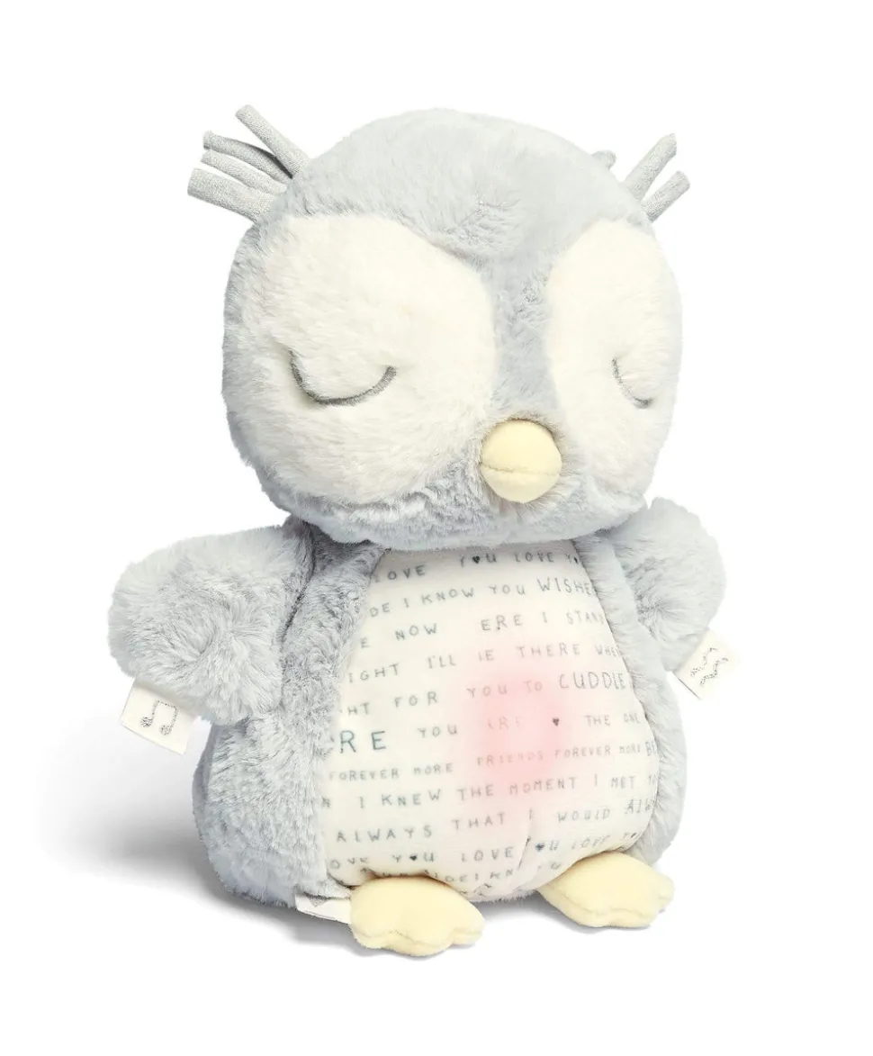 Light & Sounds Sensory Toy - Owlbie