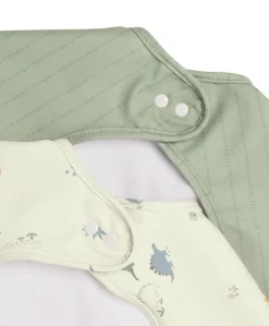 Long-sleeved Bibs (2 Pack) - Dino Stripe