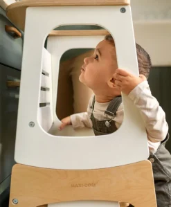 Maxi-Cosi Toucan 3-in-1 Learning Tower