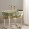 Moses Basket - Born to be Wild