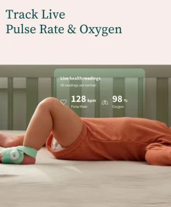 Owlet Dream Duo™ - Mint