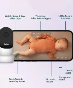 Owlet Dream Duo™ - Mint