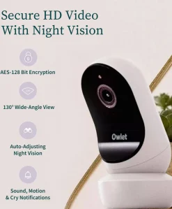 Owlet Dream Duo™ - Mint