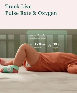 Owlet Dream Sock™ - Mint