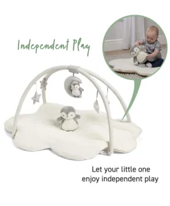 Playmat & Gym - Wish Upon A Cloud