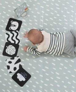 Taf Toys - Newborn Kit