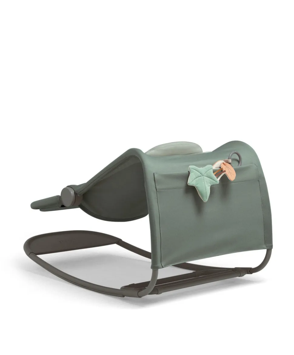 Tempo 3-in-1 Rocker/Bouncer - Ivy