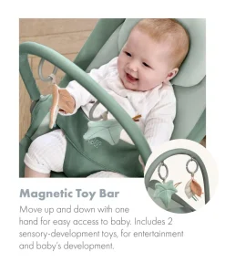 Tempo 3-in-1 Rocker/Bouncer - Ivy