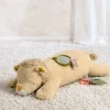 Tummy Time - Lenny Lion