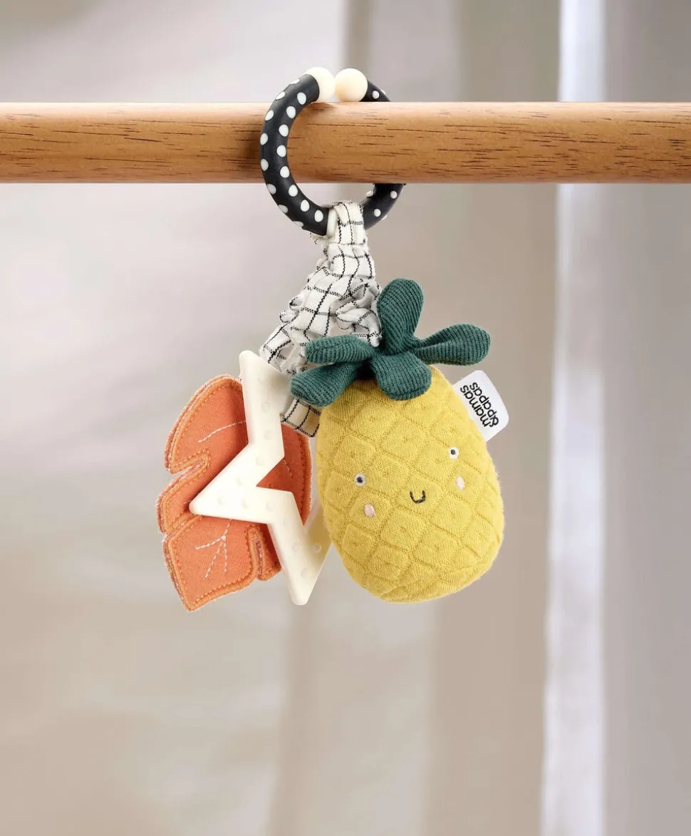 Wildly Adventures Educational Teething Toy - Linkie Pineapple