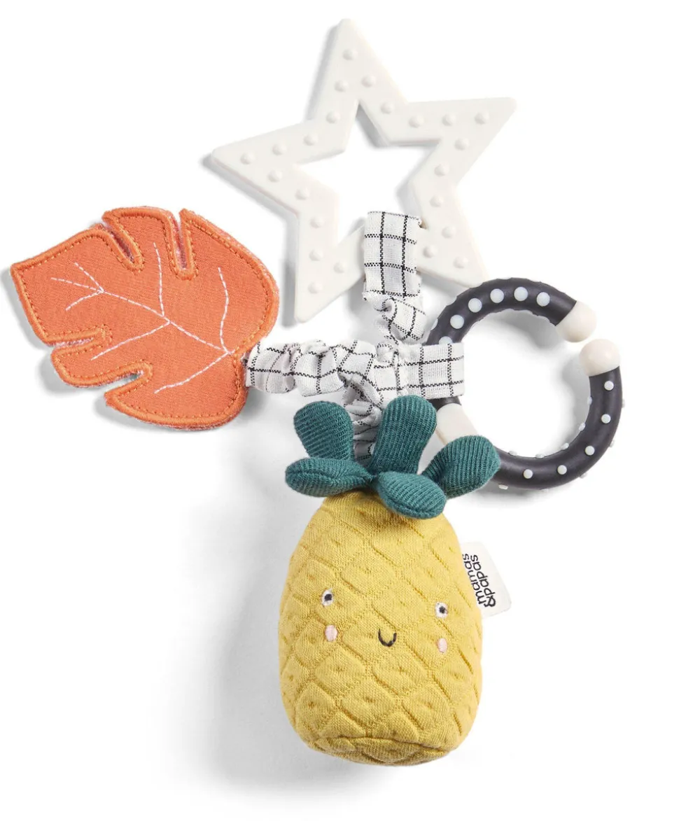Wildly Adventures Educational Teething Toy - Linkie Pineapple